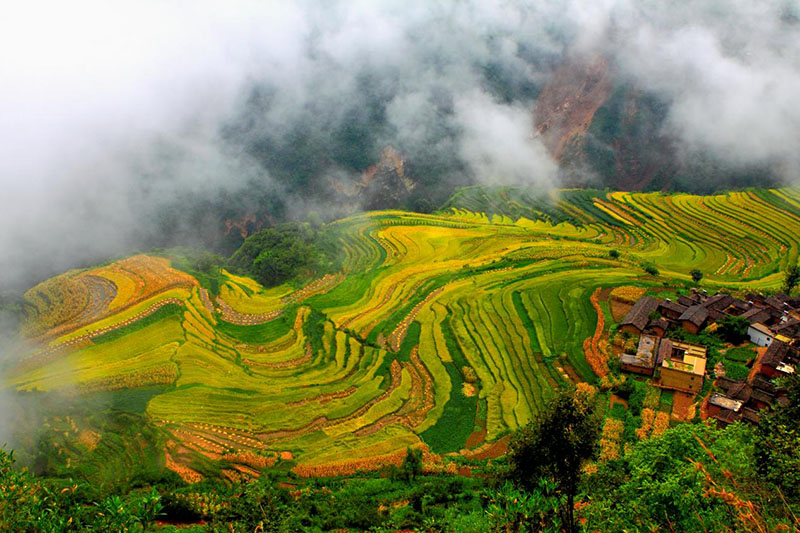 拉落秋色。寧南縣委宣傳部供圖