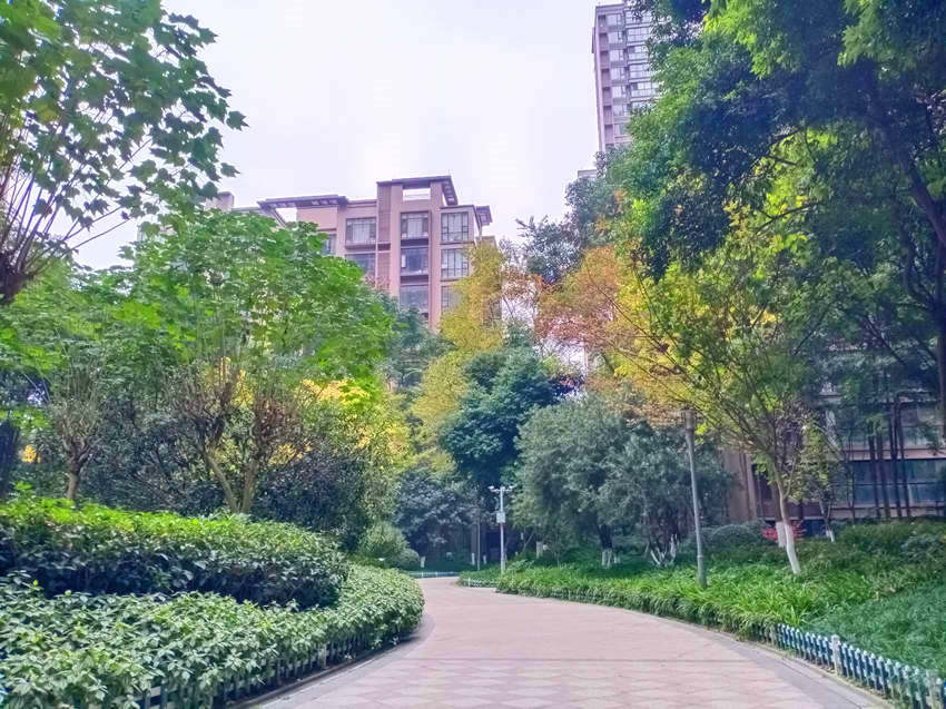 南延新苑。成都高新區生態環境城管局供圖