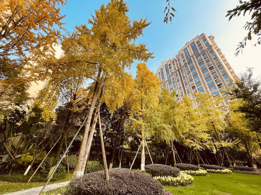 中?！こ悄?號。成都高新區生態環境城管局供圖