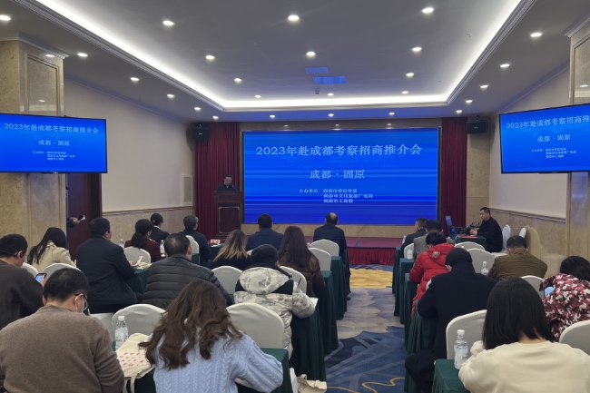 招商項目推介會現場。主辦方供圖