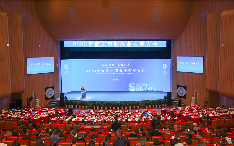 大會現場。宜賓市委宣傳部供圖