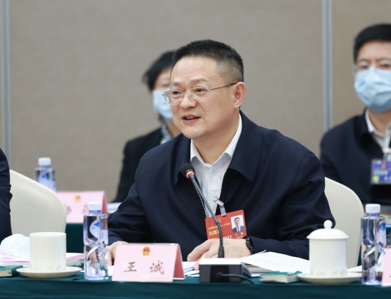 全國人大代表王誠。四川能投供圖