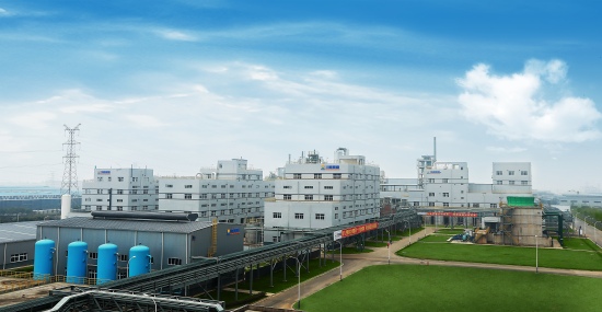 四川能投旗下鼎盛鋰業公司。四川能投供圖