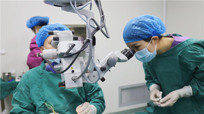 成都愛爾眼科醫院白內障科副主任王文惠術中輔助。成都愛爾眼科醫院供圖