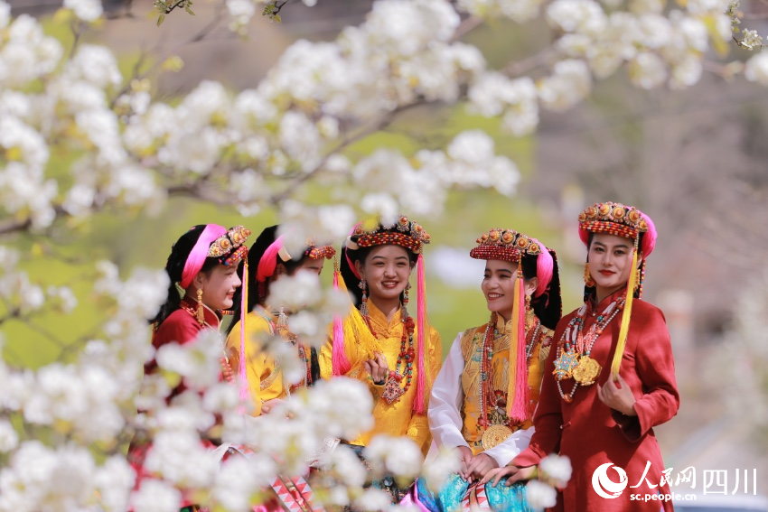 丹巴美人在梨花下合影。李永安攝