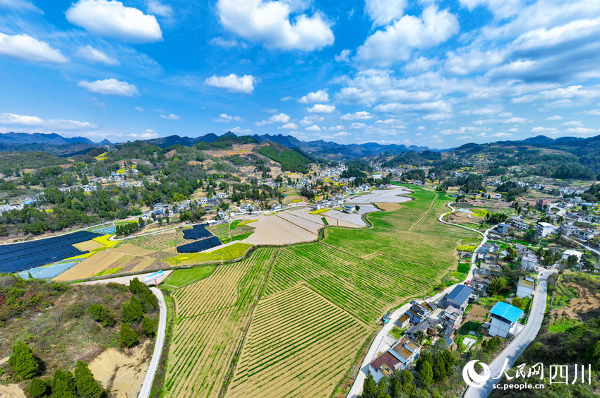 大地作畫春意濃。李驍攝