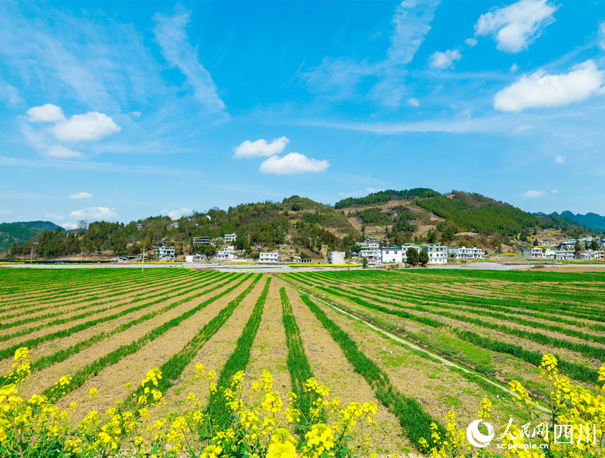 萬象“耕”新。李驍攝