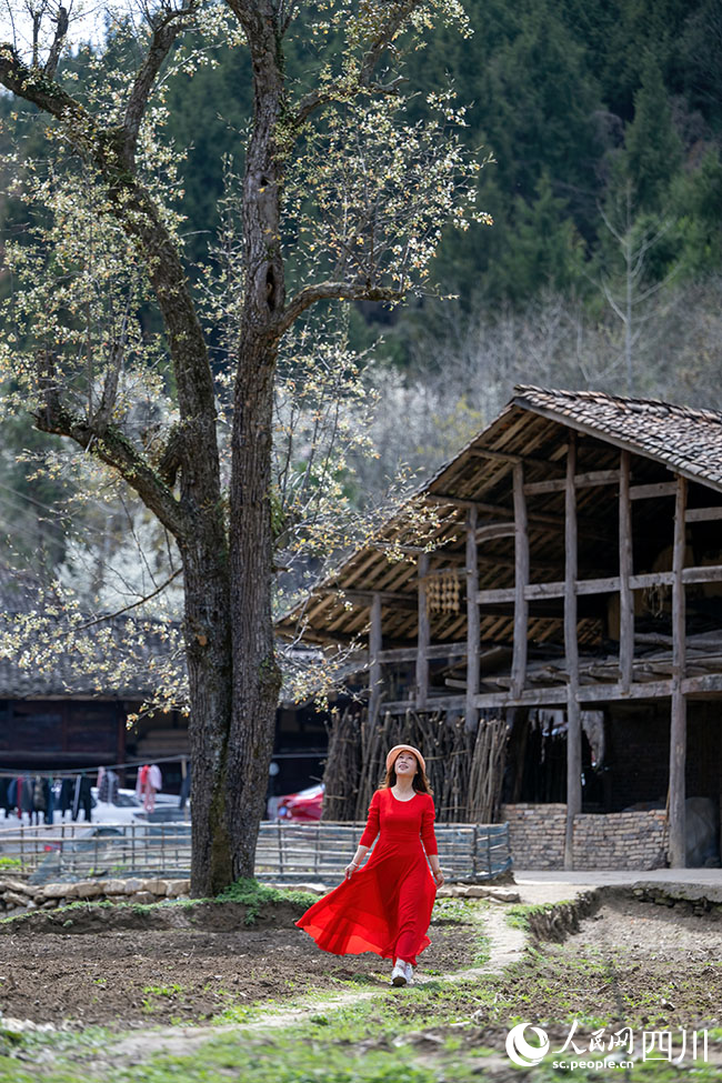 游客們行走在古村中。張天明攝