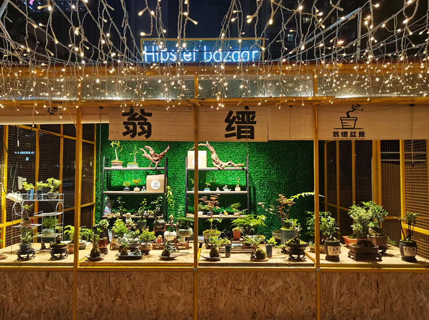 馮文靜通過多種平臺推廣家鄉的小微盆景。受訪者供圖