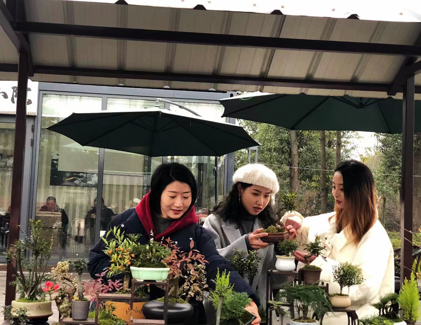 馮文靜（右一）為顧客耐心講解小微盆景的制作技藝等。受訪者供圖