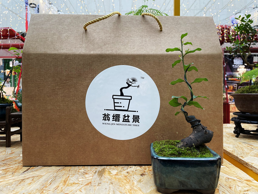 馮文靜創建的盆景品牌——翁縉盆景。受訪者供圖