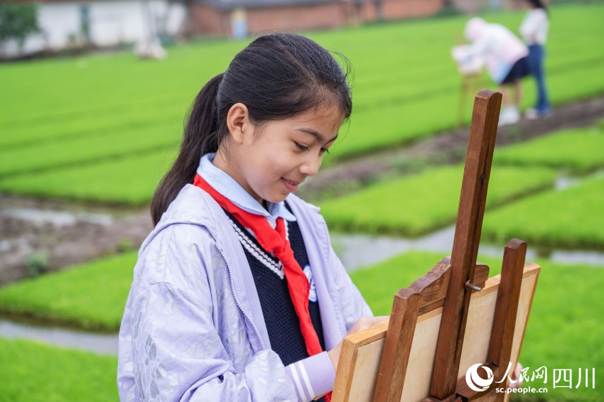 在老師指導下，學生們在秧田中寫生。翁光建攝
