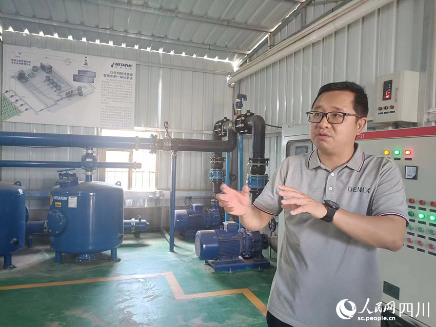 園區使用智慧水肥一體化系統，在灌溉、施肥方面通過智慧監測對藍莓及時補給。吳舒婷攝