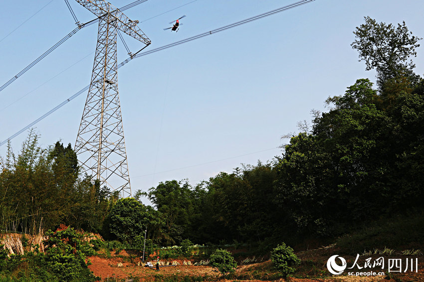 無人直升機將塔材運輸到錦蘇線821號塔塔位。王志奇攝