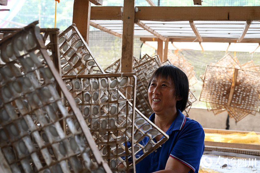 蠶桑產業助農民增收。蘭自濤攝