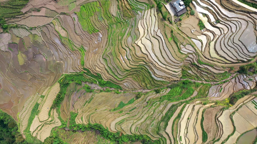 航拍筠連縣鎮舟鎮的“高坎梯田”。筠連縣融媒體中心供圖