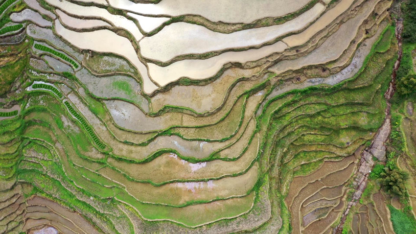 航拍筠連縣鎮舟鎮的“高坎梯田”。筠連縣融媒體中心供圖