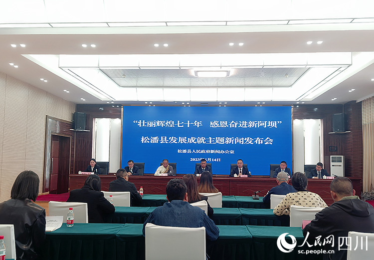 發布會現場。人民網記者 王波攝