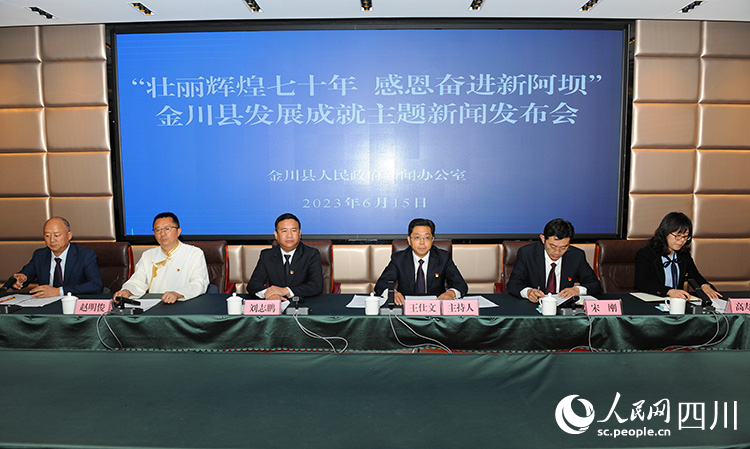 發布會現場。人民網記者 王波攝