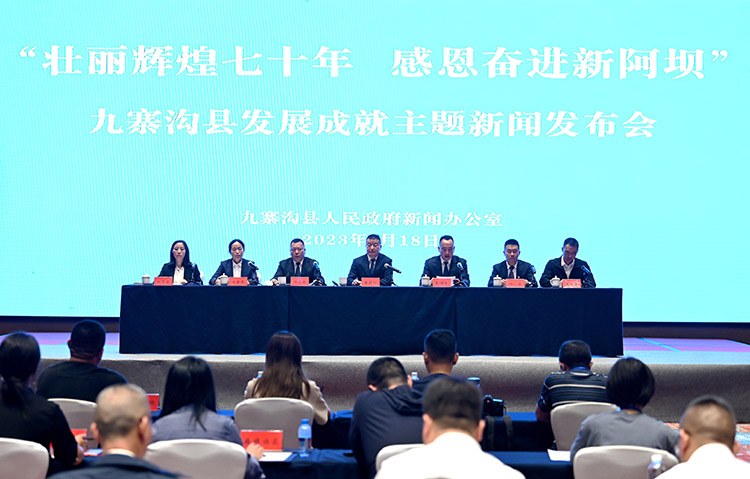 發布會現場。主辦方供圖