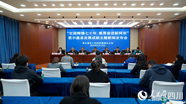 發布會現場。人民網記者 王波攝