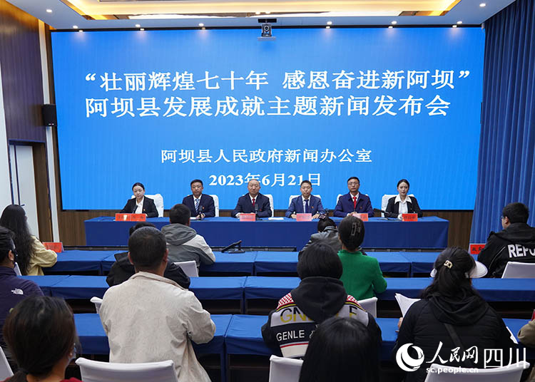 發布會現場。人民網記者 王波攝