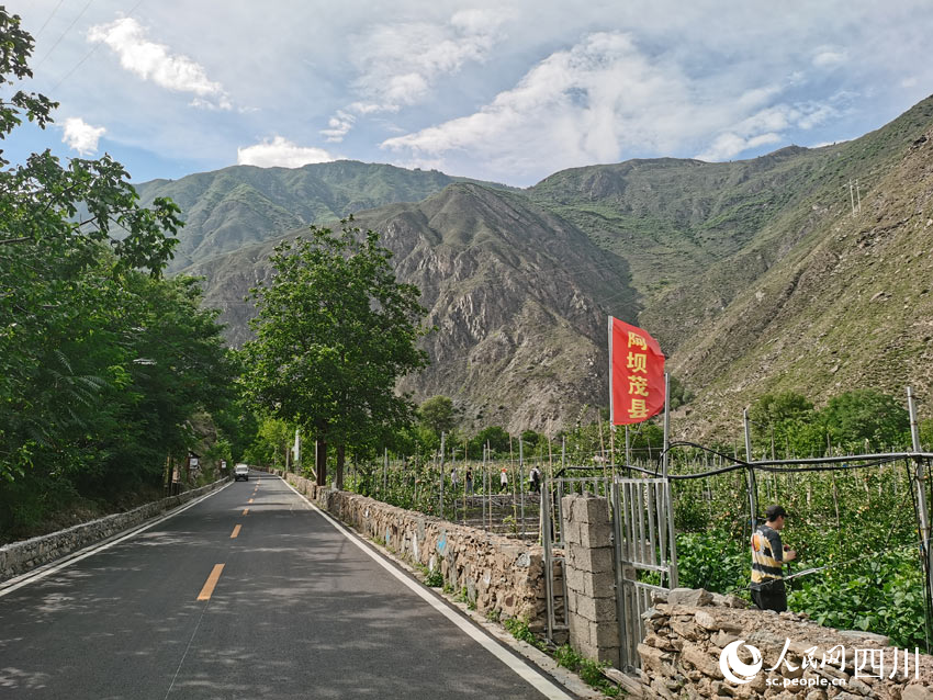 “三個一畝”，希望之路。人民網記者 劉海天攝