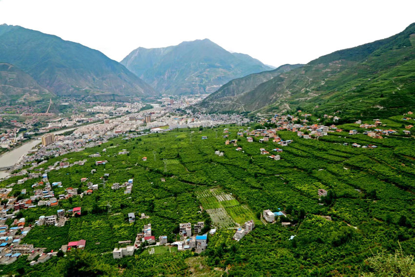 大美茂縣，果菜滿山。茂縣融媒體中心供圖