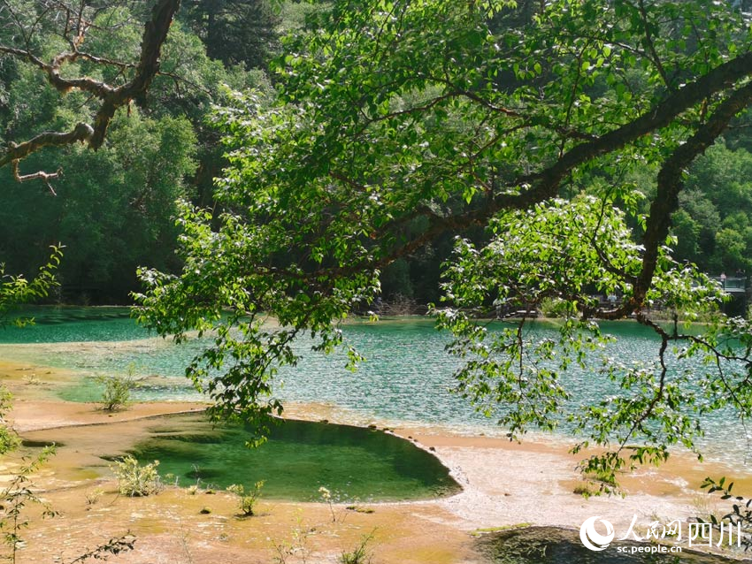 神仙池湖面閃金光。人民網 劉海天攝