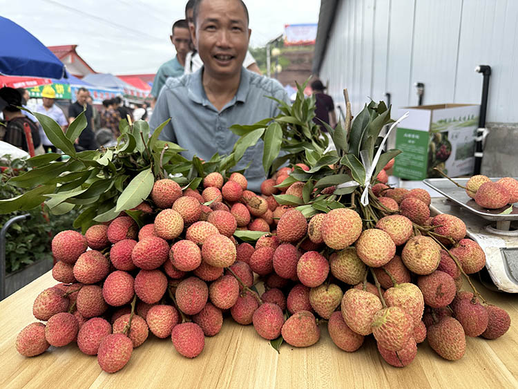 果農在開幕式現場展示荔枝。人民網記者 王波攝
