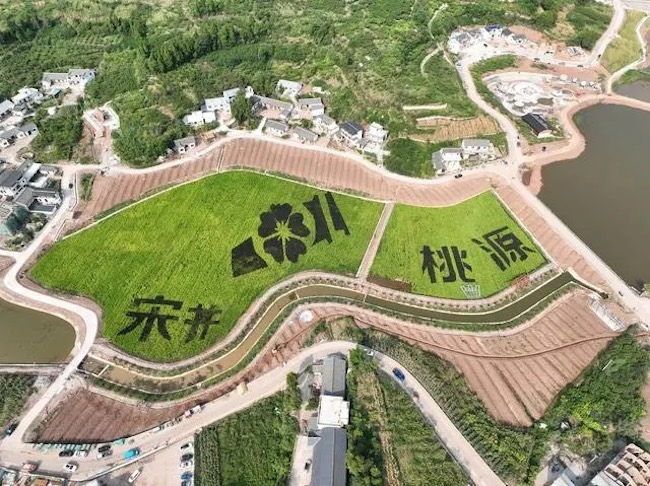 俯瞰宋井桃源。 大英縣委宣傳部供圖