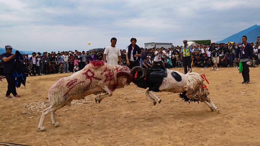 2023年第八屆涼山彝族火把節暨夏季清涼涼山游系列活動正式拉開帷幕。涼山州委宣傳部供圖