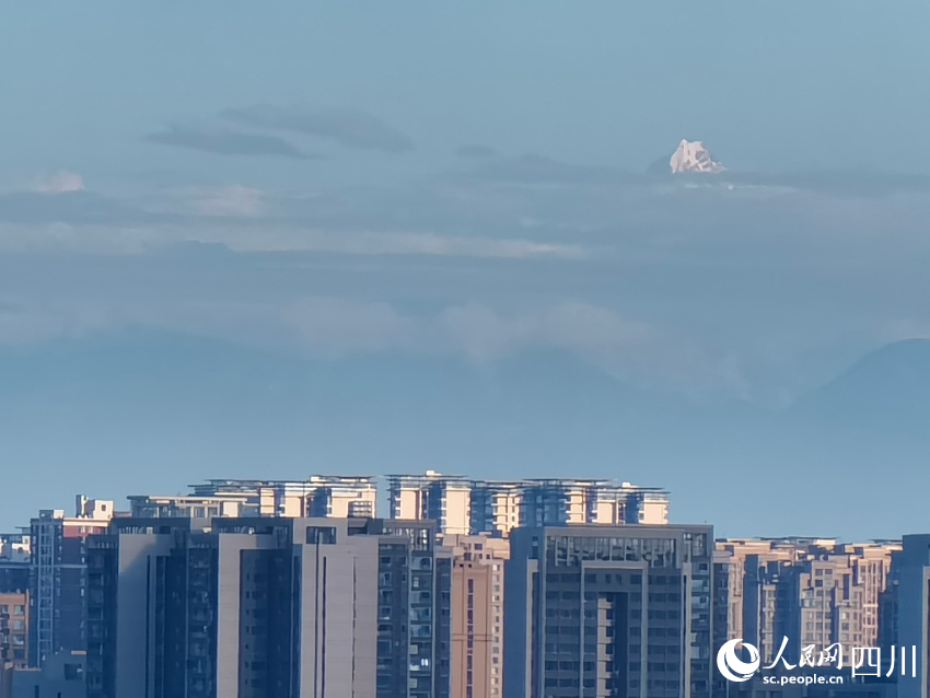 7月28日清晨的成都。劉洋攝