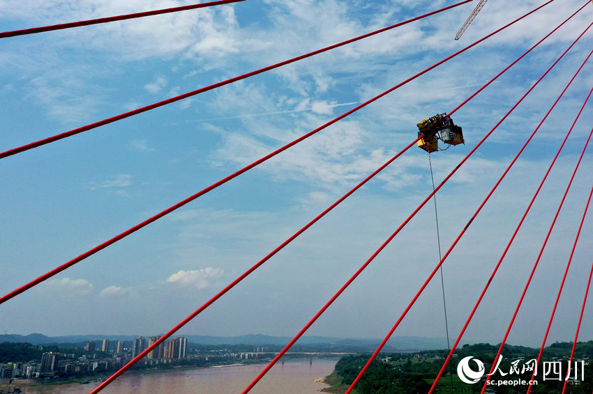 工人避開高溫時段調試大橋斜拉索。廖勝春攝