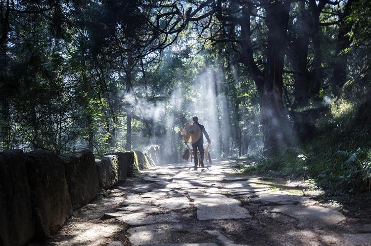 游客體驗古蜀道。劍閣縣委宣傳部供圖