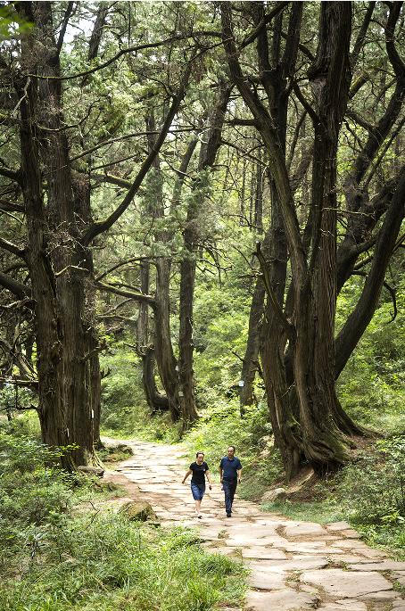 游客在古蜀道上漫步。劍閣縣委宣傳部供圖