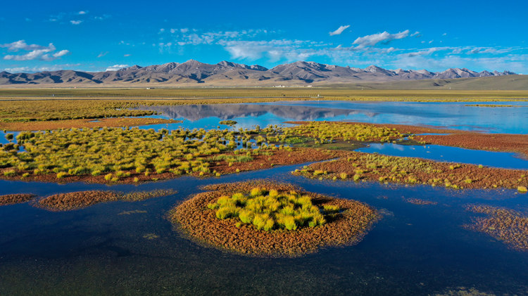 阿壩州若爾蓋花湖。阿壩州委宣傳部供圖