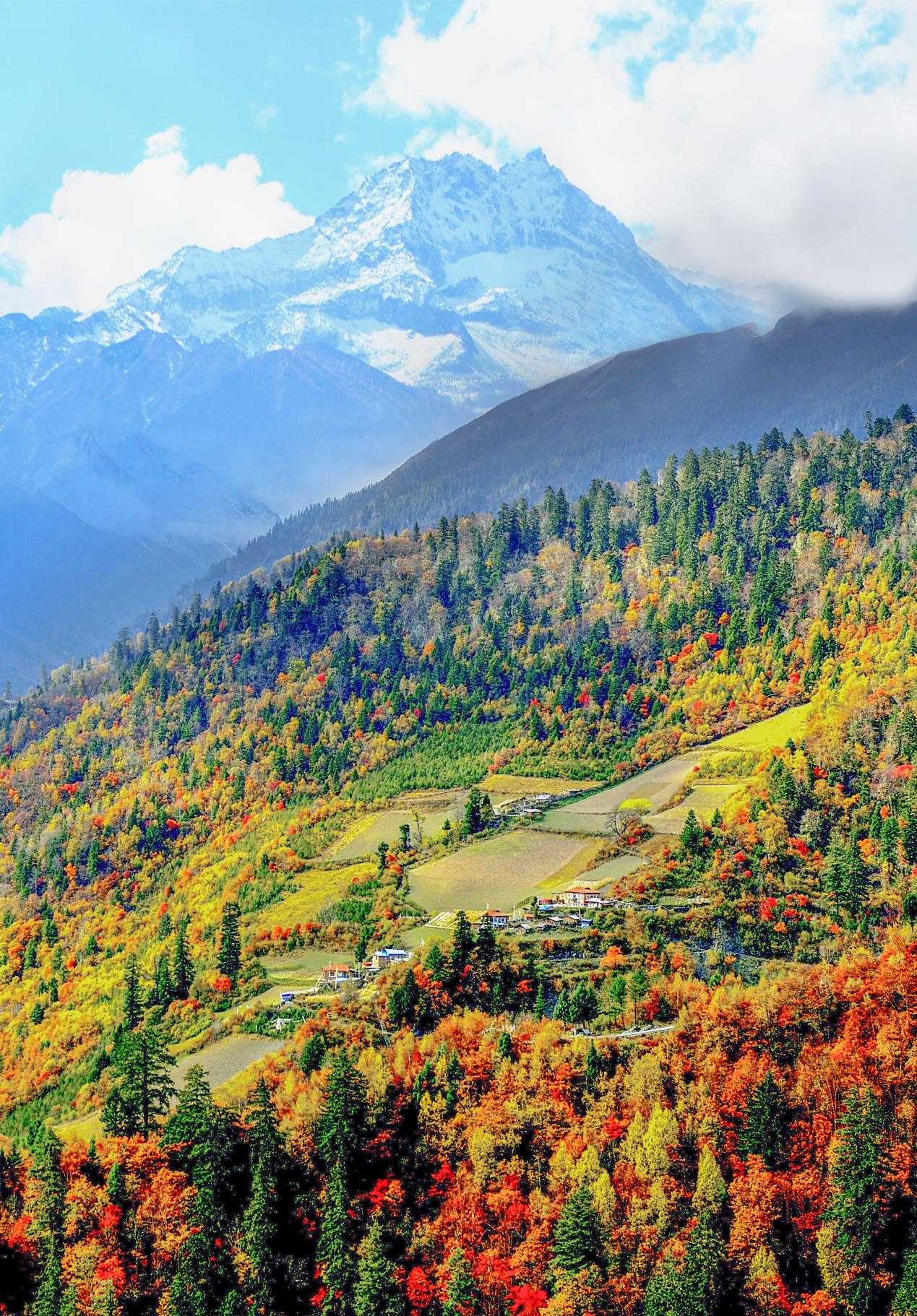 三奧雪山。黑水縣文聯供圖