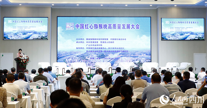 中國紅心獼猴桃高質量發展研討會現場。人民網實習生 勾璇攝