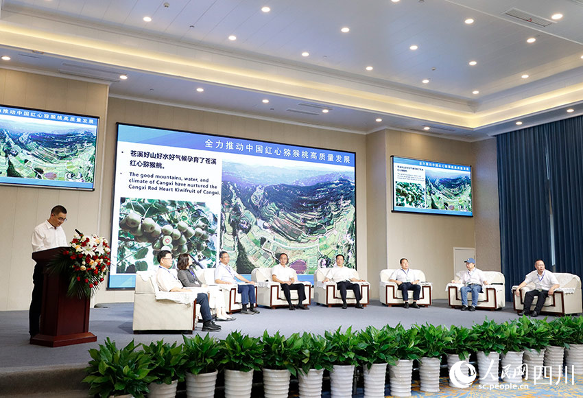 中國紅心獼猴桃高質量發展圓桌會。人民網實習生 勾璇攝