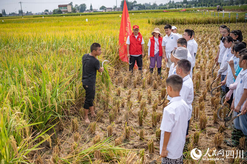 開學第一課走進“田間課堂”。翁光建攝