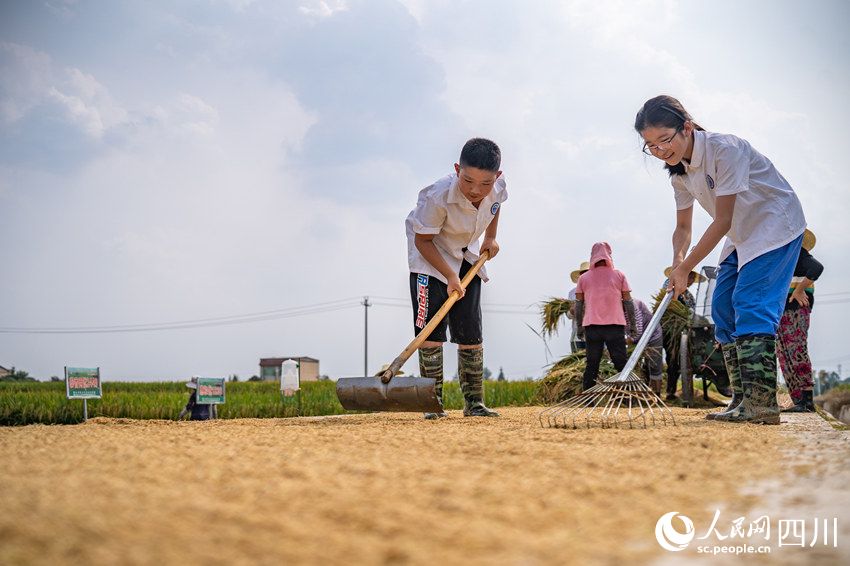 開學第一課走進“田間課堂”。翁光建攝