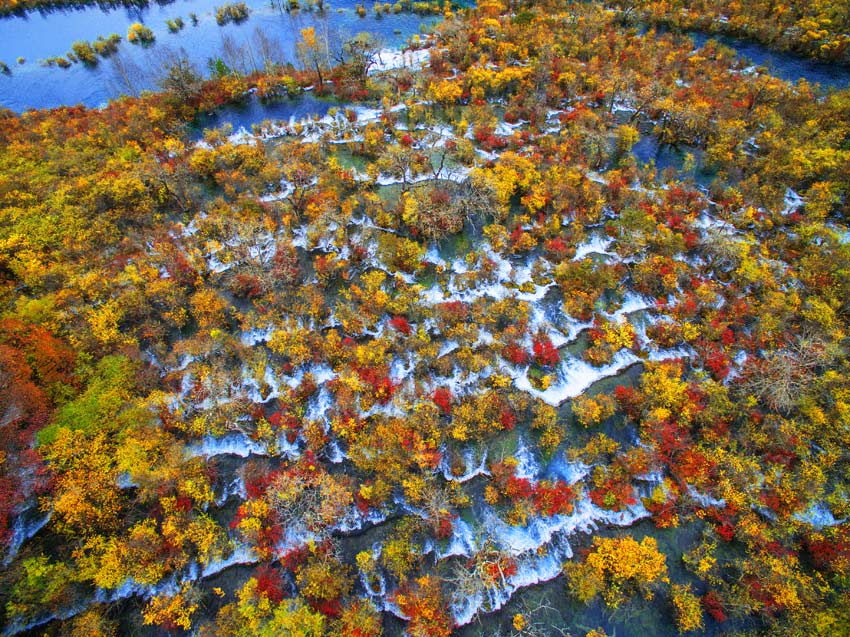 碧海泛五彩。阿壩州委宣傳部供圖