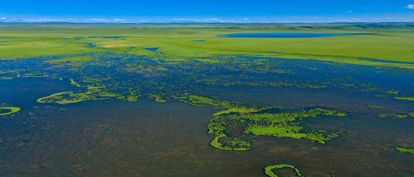 若爾蓋花湖濕地國家級自然保護區。阿壩州委宣傳部供圖