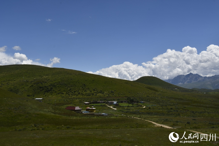 四川省甘孜州甘孜縣卡攻鄉莊里村的草場。人民網記者 王洪江攝