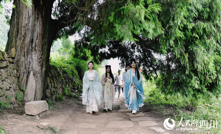 穿著漢服的游客在翠云廊徒步。高寒攝