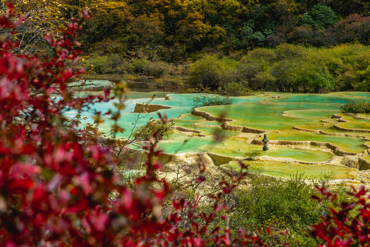 秋季的黃龍。黃管局供圖