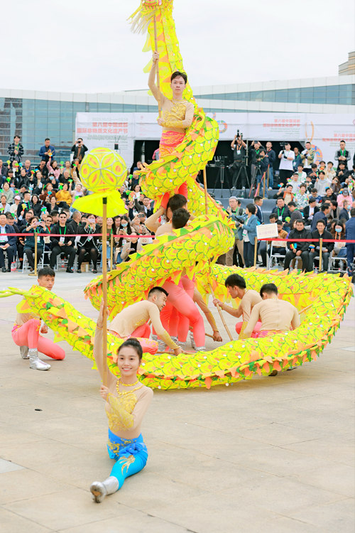 舞龍表演。青羊區委宣傳部供圖