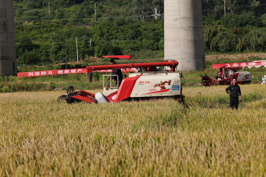 測產現場。德昌縣委宣傳部供圖
