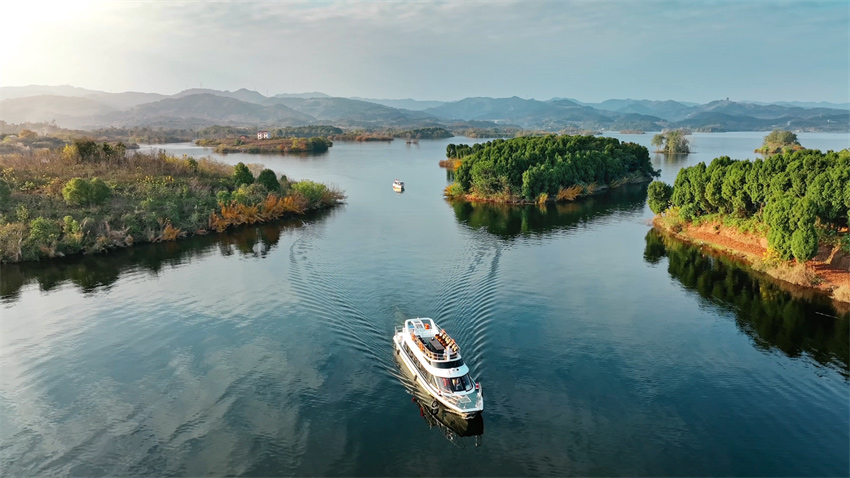 草木臨澤競光輝。東部新區供圖